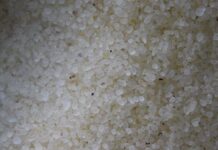 Πολύτιμα για τη Χίο τα «δάκρυα» του μαστιχόδεντρου