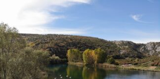 Υδροβιότοπος Άγρα Βρυτών Νησίου – Ένας ζωντανός φυσικός θησαυρός της Έδεσσας