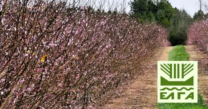 ΕΛΓΑ-ΠΑΓΕΤΟΣ