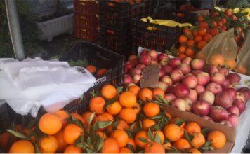 Διατροφή και υγεία: Πώς θα αποκτήσουμε ευεξία; Ποια είναι η σωστή διατροφή; IMG 20260212 081413 ΑΠΕ