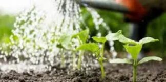 Ενημερωτική συνάντηση για τη λειτουργία και τη διαχείριση του αρδευτικού συστήματος για το έτος 2026 διοργανώνεται την Δευτέρα 30/3 στο Δημαρχείο Μελίκης