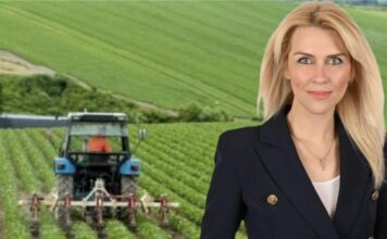 Λίνα Τουπεκτσή: «Πρωτογενής Τομέας σε Υποχώρηση!» b0b2e57d 29e5 4e8d ae68 20f3ecdbf337