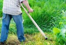 Δ. Αλεξάνδρειας: Καθαρισμός οικοπεδικών και λοιπών ακάλυπτων χώρων προς αποφυγή εκδήλωσης πυρκαγιών