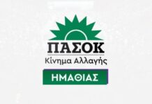 Σύνθεση Γραμματείας ΝΟΕΣ ΠΑΣΟΚ – Κίνημα Αλλαγής Ημαθίας