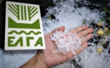 Πορίσματα για εκτιμήσεις ζημιών από χαλάζι για τις καλλιέργειες των Δ/Κ Σκυλλιτσίου και Καβασίλων Ελγα χαλαζι 2023