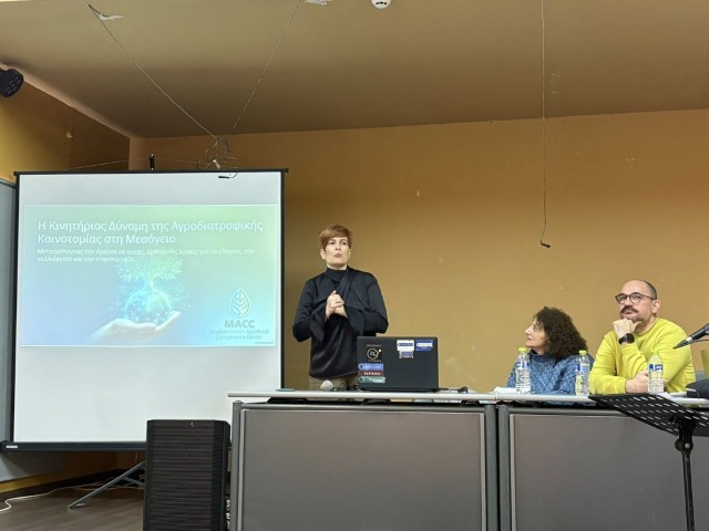 ΗΜΕΡΙΔΑ ΚΑΣΤΑΝΟ 04