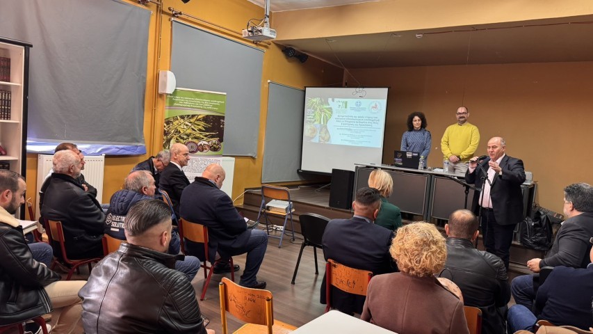 ΗΜΕΡΙΔΑ ΚΑΣΤΑΝΟ 10