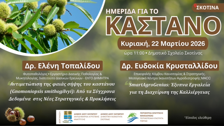 Δήμος Δίου-Ολύμπου: Ενημερωτική ημερίδα για τις παθήσεις και τη διαχείριση των καστανοκαλλιεργειών την Κυριακή 22/3 στη Σκοτίνα