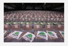 Το ΠΑΣΟΚ και η τέχνη της αυτοπαγίδευσης – Γράφει ο Νίκος Γ. Σακελλαρόπουλος