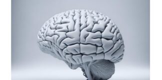 Η μηνιγγίτιδα σκοτώνει πάνω από 250.000 ανθρώπους παγκοσμίως κάθε χρόνο (Lancet)