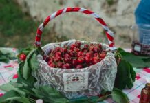 Edessa Cherry Festival: Στην πόλη των νερών, το κεράσι γίνεται γιορτή στο πιο γλυκό φεστιβάλ του καλοκαιριού