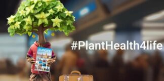 Εκστρατεία #PlantHealth4Life: Μικρές, καθημερινές δράσεις από το ΥπΑΑΤ, για την προστασία της υγείας των φυτών