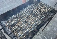 Πρεμιέρα καλοκαιρινών εκδηλώσεων με την “2η Γιορτή Σαρδέλας” στη Λεπτοκαρυά