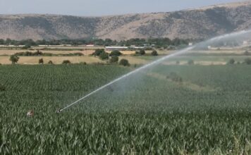 Τρίκαλα: Οι αγρότες των Τρικάλων θα χρεώνονται μέσω κάρτας για καινοτόμο ηλεκτρονικό σύστημα ποτίσματος πότισμα φωτο ΑΠΕ