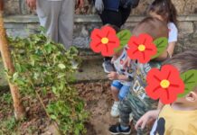 Μικροί κηπουροί εν δράσει στον Β Παιδικό Σταθμό Νάουσας