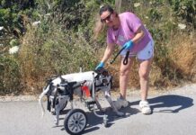 Η Ειρήνη και η Λαρίτσα της από τη Ρόδο – Μια σχέση αγάπης χωρίς όρια
