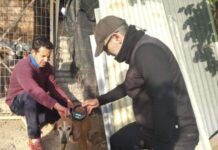 Έλεγχοι της Δημοτικής Αστυνομίας Νάουσας για την εφαρμογή της νομοθεσίας περί δεσποζόμενων ζώων συντροφιάς