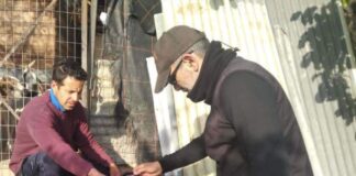Έλεγχοι της Δημοτικής Αστυνομίας Νάουσας για την εφαρμογή της νομοθεσίας περί δεσποζόμενων ζώων συντροφιάς