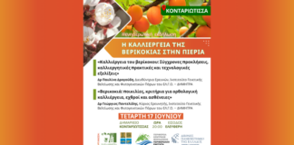 Δ. Δίου-Ολύμπου: Ενημερωτική εκδήλωση για την καλλιέργεια της βερικοκιάς στην Πιερία