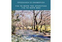 Δημοτική Πρωτοβουλία «Άλμα για τον Δήμο Νάουσας»: “Το νερό της Αράπιτσας δεν είναι εμπόρευμα!”