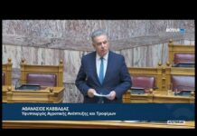 Θ. Καββαδάς στη Βουλή: «Με αντικειμενικά κριτήρια οι ενισχύσεις de minimis της μηδικής»