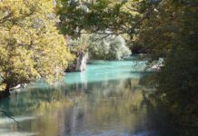 Σπύρος Θεοδ. Κουτσοχρήστος: Να ξεκινήσει άμεσα μελέτη για την κατασκευή δρόμου προς την Ιερά Μονή Στομίου Κονίτσης