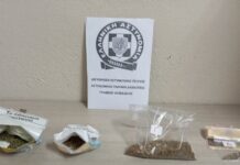 ΕΛ.ΑΣ: Συνελήφθησαν 2 άτομα στην Πέλλα για καλλιέργεια δενδρυλλίων κάνναβης-Κατασχέθηκαν 14 δενδρύλλια κάνναβης ύψους έως 180 εκατοστών