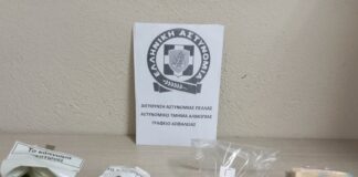 ΕΛ.ΑΣ: Συνελήφθησαν 2 άτομα στην Πέλλα για καλλιέργεια δενδρυλλίων κάνναβης-Κατασχέθηκαν 14 δενδρύλλια κάνναβης ύψους έως 180 εκατοστών