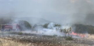 Δ. Δίου-Ολύμπου: Εναέριες και επίγειες δυνάμεις επιχειρούν στην κατάσβεση πυρκαγιάς στη Βροντού