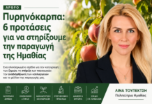 Λίνα Τουπεκτσή: Πυρηνόκαρπα. 6 προτάσεις για να στηρίξουμε την παραγωγή της Ημαθίας