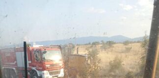 Δήμος Δίου-Ολύμπου: Κατασβέστηκε η πυρκαγιά που ξέσπασε στη θέση Γουμαρά στο Λιτόχωρο