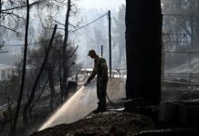 Στα 2.480 στρέμματα η περίμετρος της καμένης εκτασης από την πυρκαγιά στη Σίβηρη Χαλκιδικής σύμφωνα με το ευρωπαϊκό σύστημα copernicus