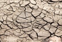 Το Ελ Νίνιο μπορεί να είναι «το πιο έντονο εδώ και πάνω από έναν αιώνα», σύμφωνα με τη βρετανική μετεωρολογική υπηρεσία ξηρασία