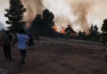 Πάνω από 480.000 στρέμματα καμένα στη δυτική Αττική από δασικές πυρκαγιές τα τελευταία 9 χρόνια