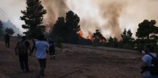 Πάνω από 480.000 στρέμματα καμένα στη δυτική Αττική από δασικές πυρκαγιές τα τελευταία 9 χρόνια