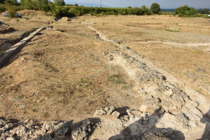 aftopsia mendoni gymnasio miezas 4