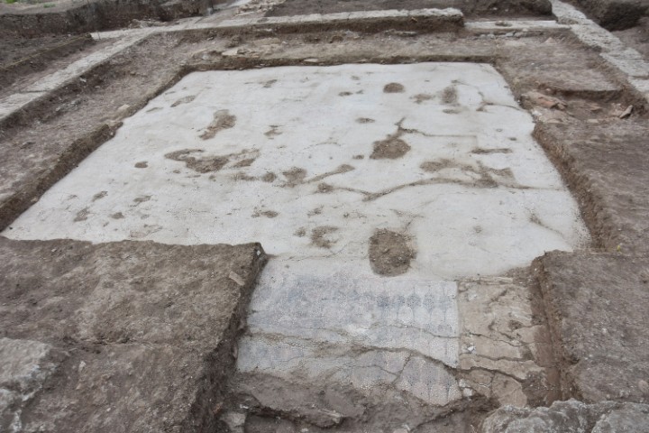aftopsia mendoni gymnasio miezas 9