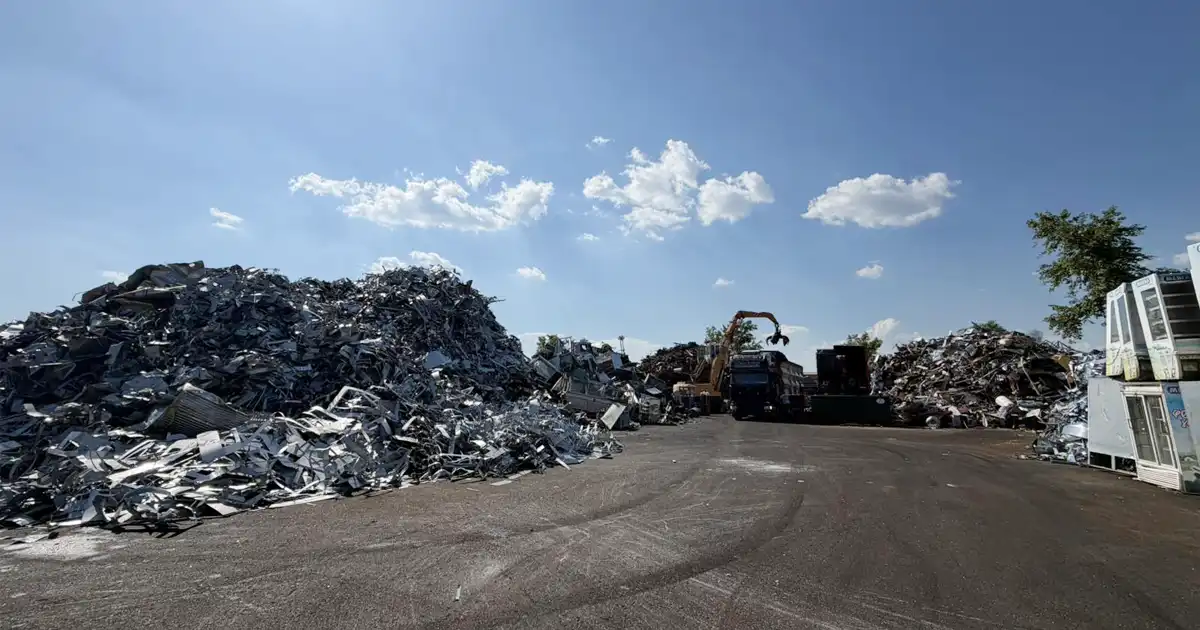 vergina scrap 3