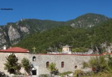 Mετά την Δασική πυρκαγιά στην Κόνιτσα να ξεκινήσει μελέτη για την κατασκευή δρόμου προς την Ι. Μονή Στομίου