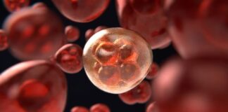 Υγεία: Ξεκίνησε η εκπόνηση του Εθνικού Σχεδίου Δράσης για τον Καρκίνο