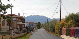 Νάουσα: Εργασίες ασφαλτόστρωσης στα Λευκάδια για τη βελτίωση των συνθηκών κυκλοφορίας