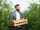 portrait young smiling farmer with freshly picked tomato vegetable standing hothouse garden