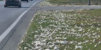 Αλεξάνδρεια: Χάθηκαν οι βαμβακοσυλλέκτες των δρόμων – Οι συνέπειες – βίντεο – Γράφει ο Πέτρος Κεφαλάς